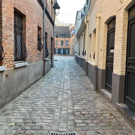 50 M2 Avec Rooftop Centre Apartment Lille