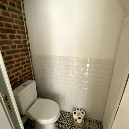 50 M2 Avec Rooftop Centre * Rijsel